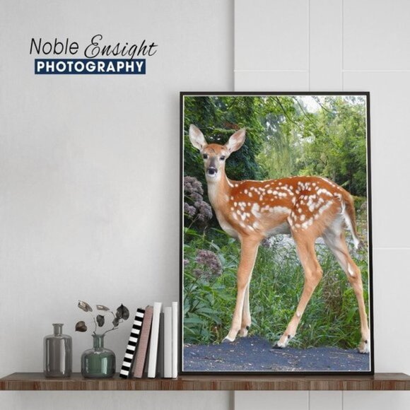 8x10 Baby Fawn Deer‎ Photography Oil Painting Print - Picture 5 of 5